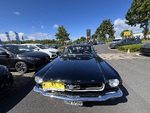 IMG_6496.JPG
